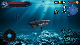 The DogFish - Screenshot 2