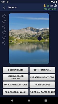 Bird Melody - Birds of Europe - Screenshot 3