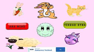 Yazı Tura - Screenshot 1