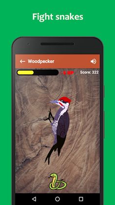 Woodpecker simulator - Screenshot 3
