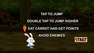 Rabbit Carrot Run - Screenshot 2