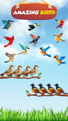 Bird Sort Color Sorting Puzzle - Screenshot 2