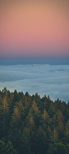 Quiet estuaries - Screenshot 2