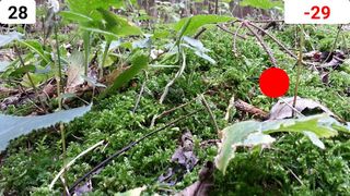 Flup Flop - Screenshot 2