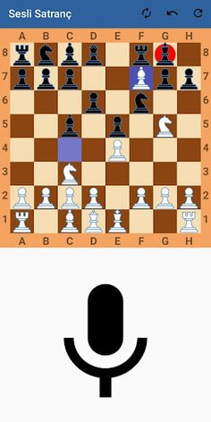 Sesli Satranç - Screenshot 4