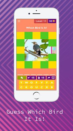 Guess Which Bird It Is! - Screenshot 3