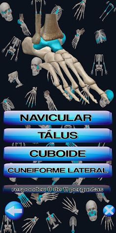 Quiz anatomia fácil 2.0 - Screenshot 4