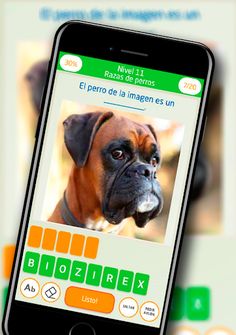 Test de preguntas. Quiz aprend - Screenshot 3