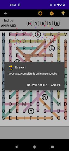 Mots Mêlés Français - Screenshot 2