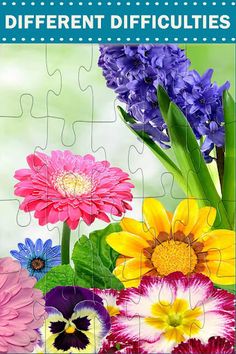 Flowers & Gardens Puzzles - Screenshot 2