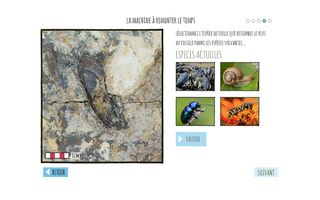 Paleo LGV V2 - Screenshot 3