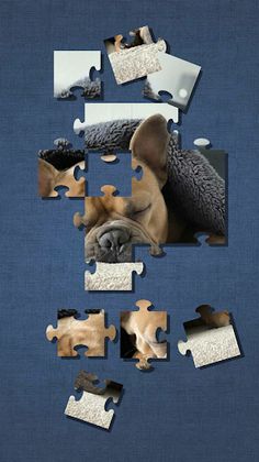 Cute Dog Puzzle - Screenshot 3