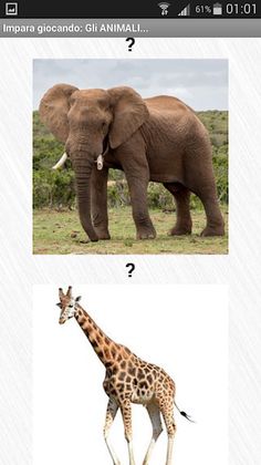 Impara Giocando con la maestra - Screenshot 1