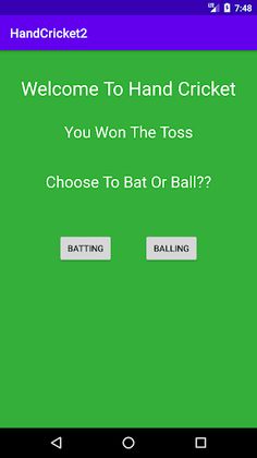 Hand Cricket - Screenshot 4