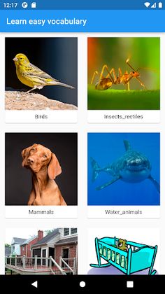 MisterEnglish - Aprende ingles - Screenshot 1