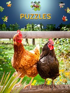 Farm Animals Jigsaw Puzzles - Screenshot 2