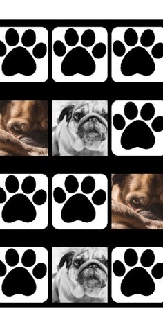 Pugs Memory Game - Screenshot 4