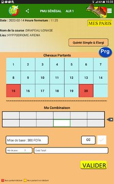 PMU SENEGAL - Screenshot 4