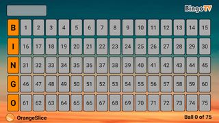 Bingo TV - Screenshot 1