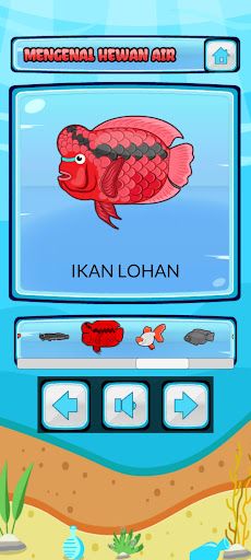 Edukasi Hewan Laut & Air Tawar - Screenshot 2