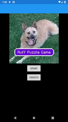 Ruff Puzzle Game - Screenshot 2