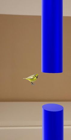 Birdy - Screenshot 3