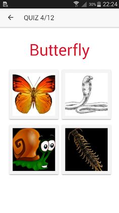 Picture Vocabulary - Screenshot 3