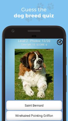 Dog Quiz - Guess the dog breed - Screenshot 1