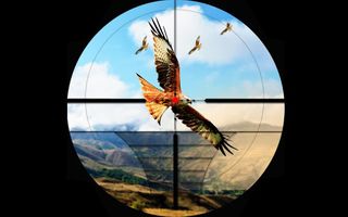 Birds Hunting Challenge Game - Screenshot 3