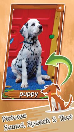 PolySounds - Animal sounds & m - Screenshot 2