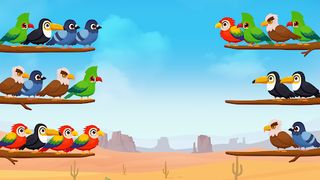 Bird Sort Color- Puzzle Master - Screenshot 3