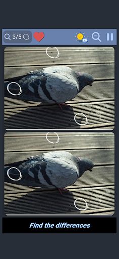 Differences - Find them - Screenshot 3