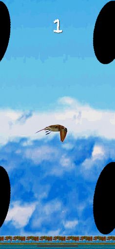 BlackHoleBird - Screenshot 4