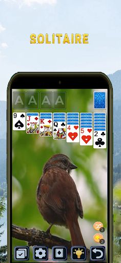 Classic Solitaire card gamepro - Screenshot 1