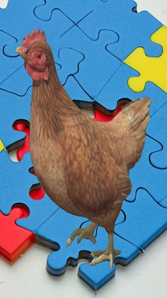 Chicken Feet Puzzle Game - Screenshot 3