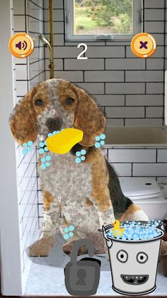 Dog Clean Master Pro+ - Screenshot 2