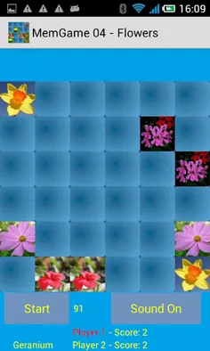 MemGame 04 - Flowers - Screenshot 4