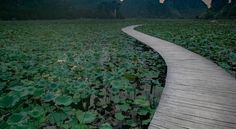 Peaceful river - Screenshot 4