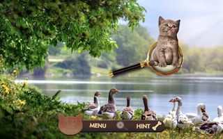 Find a Pet - Hidden Object - Screenshot 2