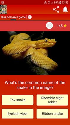 QuizzLand. Quiz & Snakes game - Screenshot 3
