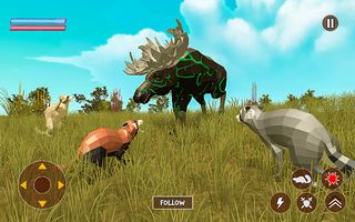 Reccoon Game Wildlife Animals - Screenshot 3