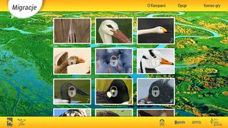 Migracje - Screenshot 1