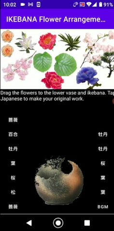 FlowerArrangement_01 - Screenshot 1