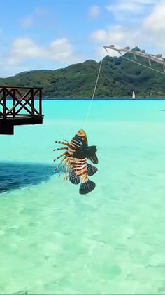 fishing master - Screenshot 3