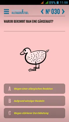 Alltagsrätsel - Screenshot 4