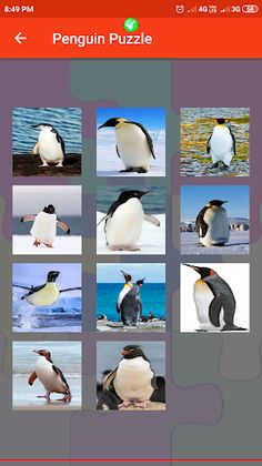 Penguin Puzzle - Screenshot 4