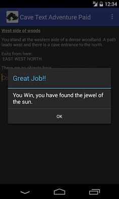 Cave Text Adventure Paid - Screenshot 4