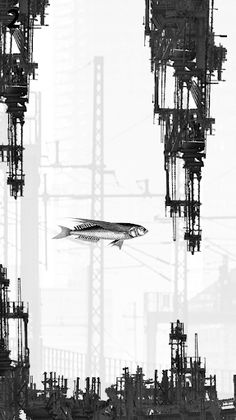 GLF Flying Fish - Screenshot 3