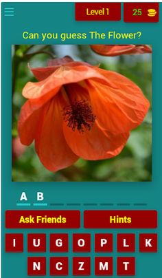 Flowers Quiz - Screenshot 1
