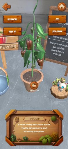 NgapSayor Pro - Screenshot 4